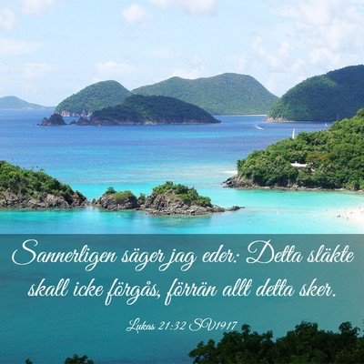 Picture 03 - Lukas 21:32 SV1917 - Sannerligen säger jag eder: Detta släkte skall - Bible Verse Picture