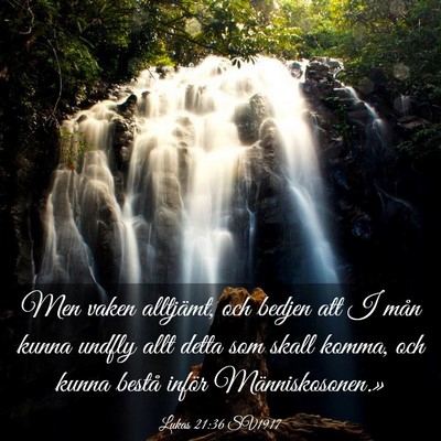 Picture 03 - Lukas 21:36 SV1917 - Men vaken alltjämt, och bedjen att I mån kunna - Bible Verse Picture