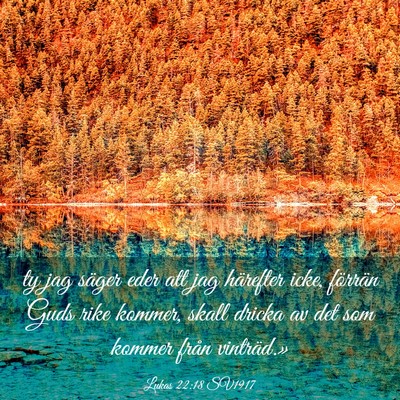 Picture 03 - Lukas 22:18 SV1917 - ty jag säger eder att jag härefter icke, - Bible Verse Picture