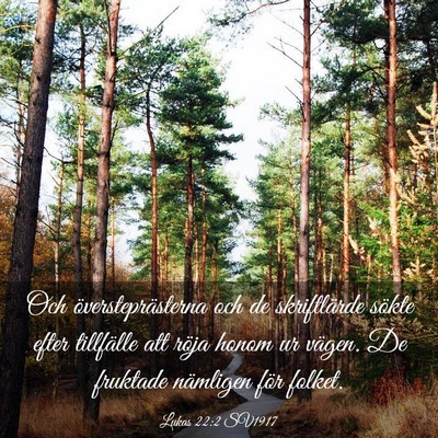 Picture 03 - Lukas 22:2 SV1917 - Och översteprästerna och de skriftlärde sökte - Bible Verse Picture