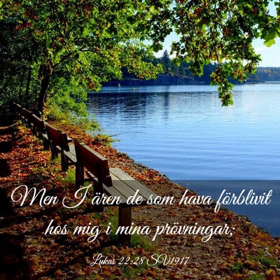 Picture 03 - Lukas 22:28 SV1917 - Men I ären de som hava förblivit hos mig i mina - Bible Verse Picture