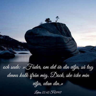 Picture 03 - Lukas 22:42 SV1917 - och sade: »Fader, om det är din vilja, så tag - Bible Verse Picture