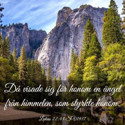 Picture 03 - Lukas 22:43 SV1917 - Då visade sig för honom en ängel från - Bible Verse Picture