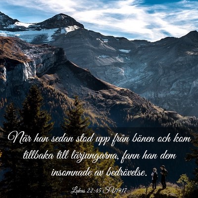 Picture 03 - Lukas 22:45 SV1917 - När han sedan stod upp från bönen och kom - Bible Verse Picture