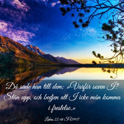 Picture 03 - Lukas 22:46 SV1917 - Då sade han till dem: »Varför soven I? Stån - Bible Verse Picture