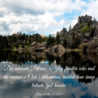 Picture 03 - Lukas 22:60 SV1917 - Då svarade Petrus: »Jag förstår icke vad du - Bible Verse Picture