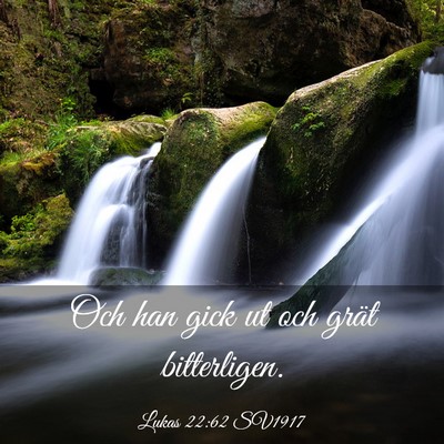 Picture 03 - Lukas 22:62 SV1917 - Och han gick ut och grät - Bible Verse Picture