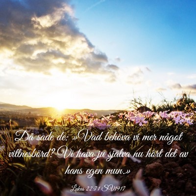 Picture 03 - Lukas 22:71 SV1917 - Då sade de: »Vad behöva vi mer något - Bible Verse Picture