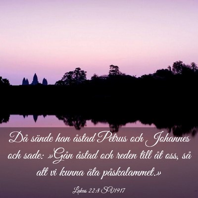 Picture 03 - Lukas 22:8 SV1917 - Då sände han åstad Petrus och Johannes och - Bible Verse Picture