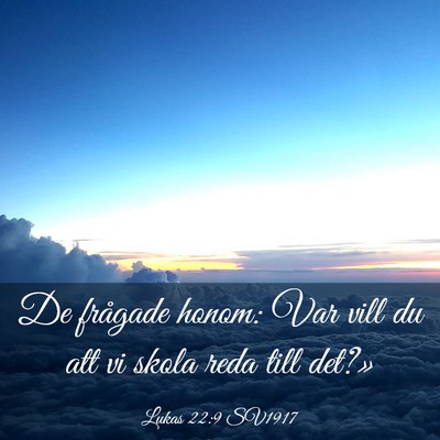 Picture 03 - Lukas 22:9 SV1917 - De frågade honom: Var vill du att vi skola reda - Bible Verse Picture
