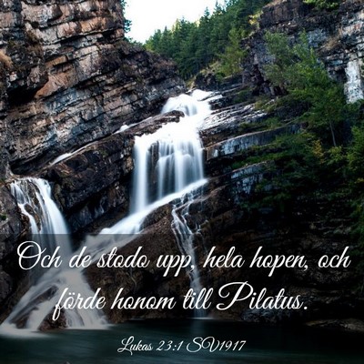Picture 03 - Lukas 23:1 SV1917 - Och de stodo upp, hela hopen, och förde honom - Bible Verse Picture