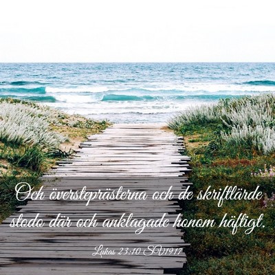 Picture 03 - Lukas 23:10 SV1917 - Och översteprästerna och de skriftlärde stodo - Bible Verse Picture