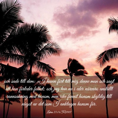 Picture 03 - Lukas 23:14 SV1917 - och sade till dem: »I haven fört till mig denne - Bible Verse Picture