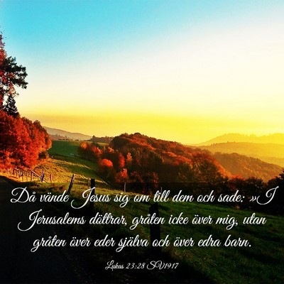 Picture 03 - Lukas 23:28 SV1917 - Då vände Jesus sig om till dem och sade: »I - Bible Verse Picture