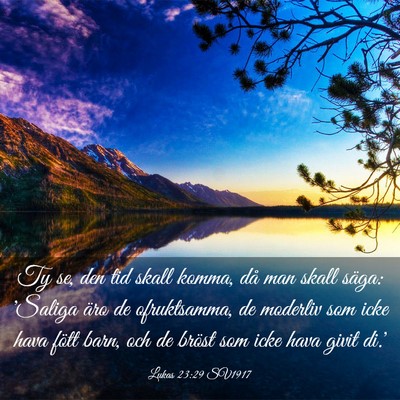 Picture 03 - Lukas 23:29 SV1917 - Ty se, den tid skall komma, då man skall säga: - Bible Verse Picture