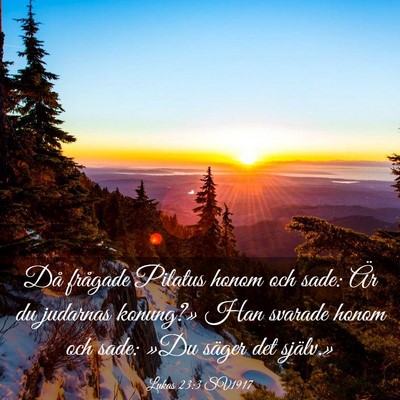 Picture 03 - Lukas 23:3 SV1917 - Då frågade Pilatus honom och sade: Är du - Bible Verse Picture
