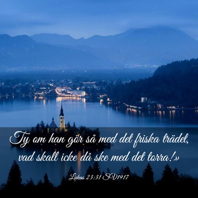 Picture 03 - Lukas 23:31 SV1917 - Ty om han gör så med det friska trädet, vad - Bible Verse Picture