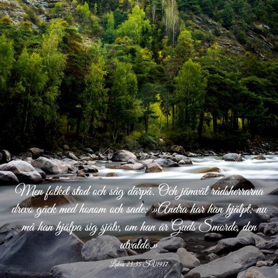 Picture 03 - Lukas 23:35 SV1917 - Men folket stod och såg därpå. Och jämväl - Bible Verse Picture