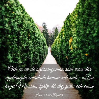 Picture 03 - Lukas 23:39 SV1917 - Och en av de ogärningsmän som voro där - Bible Verse Picture