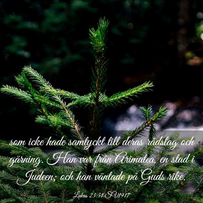 Picture 03 - Lukas 23:51 SV1917 - som icke hade samtyckt till deras rådslag och - Bible Verse Picture