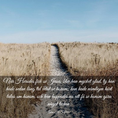 Picture 03 - Lukas 23:8 SV1917 - När Herodes fick se Jesus, blev han mycket glad, - Bible Verse Picture