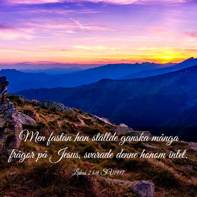 Picture 03 - Lukas 23:9 SV1917 - Men fastän han ställde ganska många frågor - Bible Verse Picture