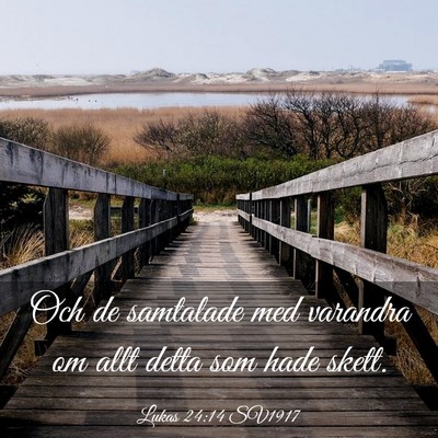 Picture 03 - Lukas 24:14 SV1917 - Och de samtalade med varandra om allt detta som - Bible Verse Picture