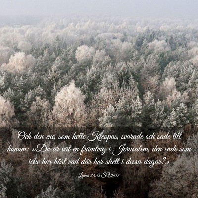 Picture 03 - Lukas 24:18 SV1917 - Och den ene, som hette Kleopas, svarade och sade - Bible Verse Picture