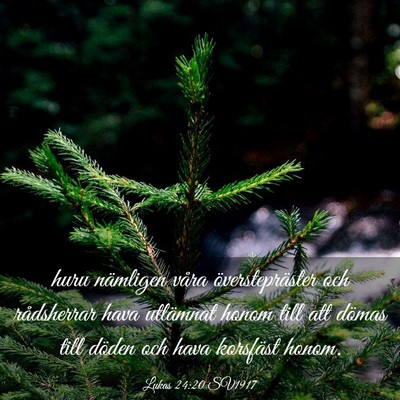 Picture 03 - Lukas 24:20 SV1917 - huru nämligen våra överstepräster och - Bible Verse Picture
