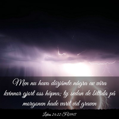 Picture 03 - Lukas 24:22 SV1917 - Men nu hava därjämte några av våra kvinnor - Bible Verse Picture