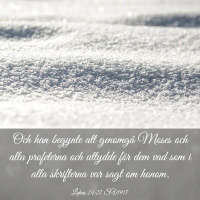 Picture 03 - Lukas 24:27 SV1917 - Och han begynte att genomgå Moses och alla - Bible Verse Picture