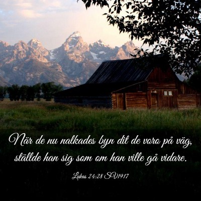 Picture 03 - Lukas 24:28 SV1917 - När de nu nalkades byn dit de voro på väg, - Bible Verse Picture