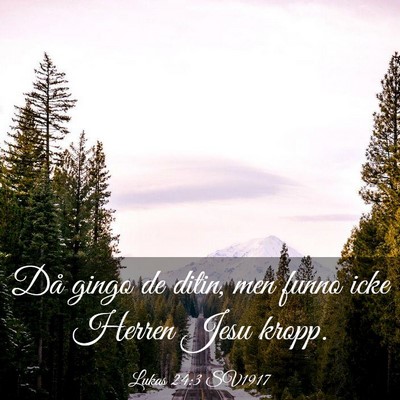Picture 03 - Lukas 24:3 SV1917 - Då gingo de ditin, men funno icke Herren Jesu - Bible Verse Picture