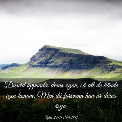 Picture 03 - Lukas 24:31 SV1917 - Därvid öppnades deras ögon, så att de kände - Bible Verse Picture