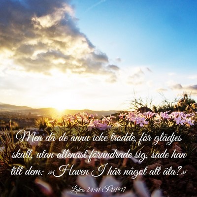 Picture 03 - Lukas 24:41 SV1917 - Men då de ännu icke trodde, för glädjes - Bible Verse Picture