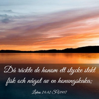 Picture 03 - Lukas 24:42 SV1917 - Då räckte de honom ett stycke stekt fisk och - Bible Verse Picture