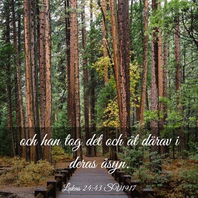Picture 03 - Lukas 24:43 SV1917 - och han tog det och åt därav i deras - Bible Verse Picture