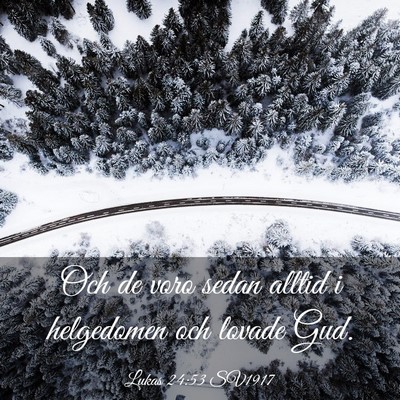 Picture 03 - Lukas 24:53 SV1917 - Och de voro sedan alltid i helgedomen och lovade - Bible Verse Picture