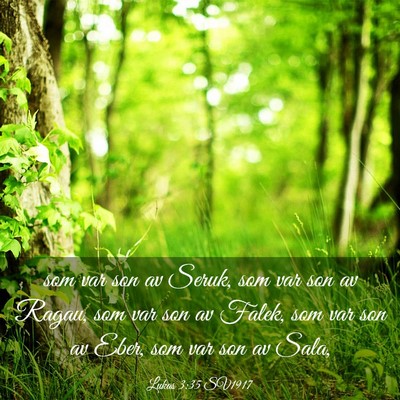 Picture 03 - Lukas 3:35 SV1917 - som var son av Seruk, som var son av Ragau, som - Bible Verse Picture