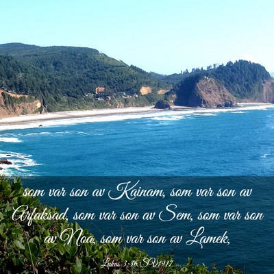 Picture 03 - Lukas 3:36 SV1917 - som var son av Kainam, som var son av Arfaksad, - Bible Verse Picture