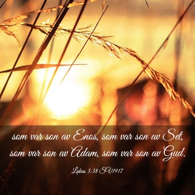Picture 03 - Lukas 3:38 SV1917 - som var son av Enos, som var son av Set, som var - Bible Verse Picture