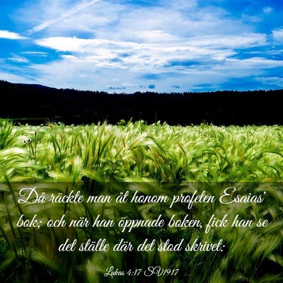 Picture 03 - Lukas 4:17 SV1917 - Då räckte man åt honom profeten Esaias' bok; - Bible Verse Picture