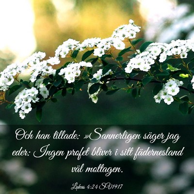 Picture 03 - Lukas 4:24 SV1917 - Och han tillade: »Sannerligen säger jag eder: - Bible Verse Picture