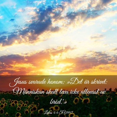 Picture 03 - Lukas 4:4 SV1917 - Jesus svarade honom: »Det är skrivet: - Bible Verse Picture