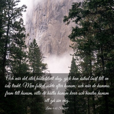 Picture 03 - Lukas 4:42 SV1917 - Och när det åter hade blivit dag, gick han - Bible Verse Picture