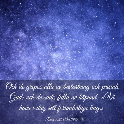 Picture 03 - Lukas 5:26 SV1917 - Och de grepos alla av bestörtning och prisade - Bible Verse Picture