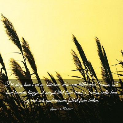 Picture 03 - Lukas 5:3 SV1917 - Då steg han i en av båtarna, den som tillhörde - Bible Verse Picture