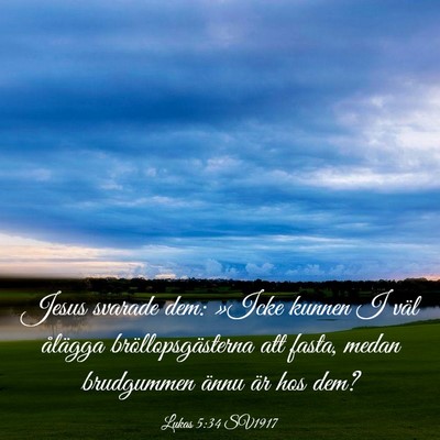 Picture 03 - Lukas 5:34 SV1917 - Jesus svarade dem: »Icke kunnen I väl ålägga - Bible Verse Picture