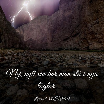 Picture 03 - Lukas 5:38 SV1917 - Nej, nytt vin bör man slå i nya läglar. - Bible Verse Picture