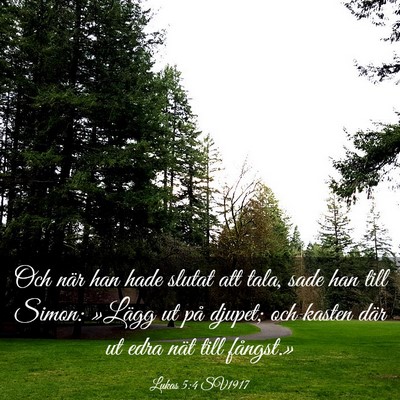 Picture 03 - Lukas 5:4 SV1917 - Och när han hade slutat att tala, sade han till - Bible Verse Picture